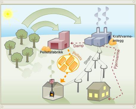 Bioenergi Energi fra organisk materiale som trevirke, matavfall og kloakk Vedfyring er mest brukt; utgjorde på verdensbasis i 2009 ca.