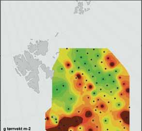 32 HAVETS RESSURSER OG MILJØ 29 KAPITTEL 1 ØKOSYSTEM BARENTSHAVET 1.3.2 SEKUNDÆRPRODUKSJON (DYREPLANKTON) I 28 ble det målt vesentlig mindre dyreplankton i Barentshavet i forhold til de to foregående årene.