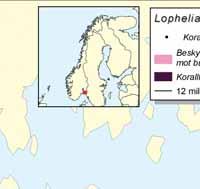 Kaldtvannskorallrev bygget av Lophelia, som på norsk kalles glasskorall eller steinkorall, finnes langs nesten hele norskekysten; fra svenskegrensen i sørøst (figur 2.6.1.