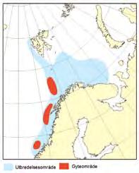 KapiTtel 1 økosystem barentshavet HAvets ressurser og miljø 26 53 1.4.2 Nordøstarktisk hyse HYSE Melanogrammus aeglefinus Gyteområde: På dypt vann langs kysten av Nord-Norge.