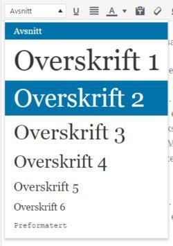 Merk at du har tre felter å jobbe i. Fra øverst til nederst blir disse henholdsvis overskrift, hovedtekst (altså selve teksten) og utdrag.