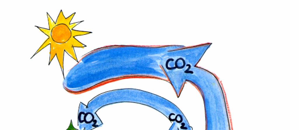 Olje Kull Naturgass Figur 4 Under forbrenning av biomasse frigjøres CO 2 som igjen bindes i voksende trær og planter via fotosyntesen. Økningen av CO 2 skyldes fossile brensler. [6]. 2.2.4 Spillvarme En del bedrifter har overskudd av varme fra egne prosesser som kunne vært utnyttet til bl.
