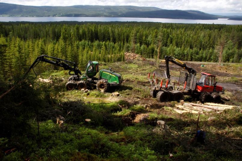 Hva er rådet til skogeieren? Vi må bruke henvisningskompetansen vår!