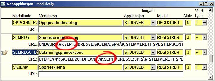 Akseptanse i