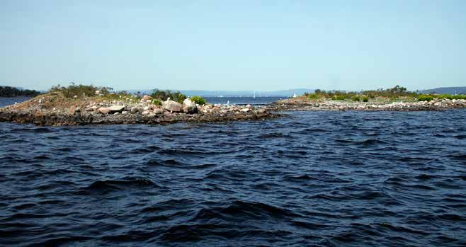 Dyna; DYNA I Røyken RØYKEN NATURRESERVAT naturreservat OPPRETTET opprettet I i År Sum Kg Sa Æf Tj Gm Sm Sb Mt 39 3 8 3 5 5 7 8 3 55 5 3 8 9 Generelt en nedgang for de fleste artene siden.