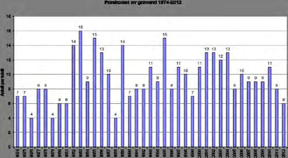 Voksne fugler ble sett på Furuholmen i 2000-2002, men det ble ikke dokumentert reirfunn. I 2004 ble kanadagås registrert på Vestre Skjæret med et par med 3 pull både 16.