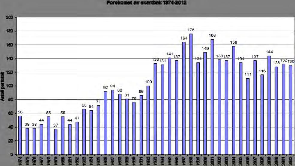 Hekkebestanden har de siste 8-10 årene ligget nogenlunde stabilt rundt 120-140 par.