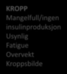 KROPP Mangelfull/ingen