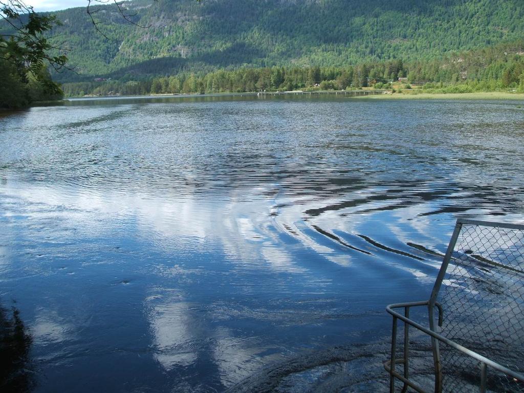 Regulering av Seljordsvatnet i Bø og