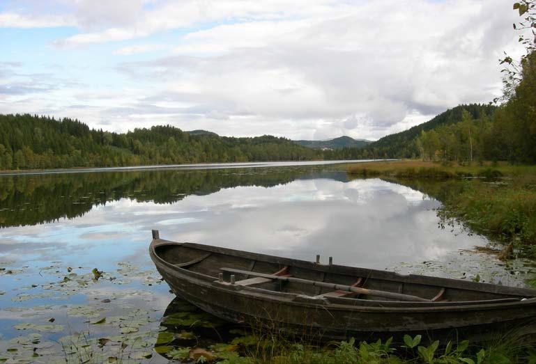 Hule eiker Foto: Anne Sverdrup-