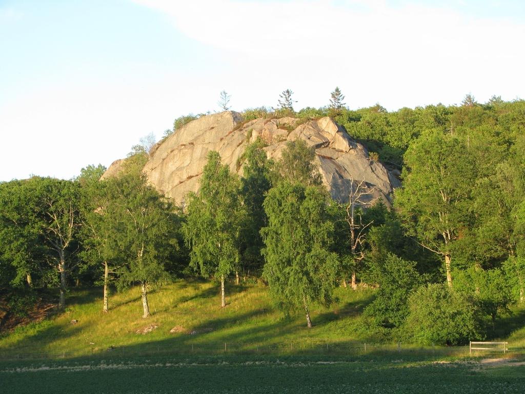 Hva står i forskrift om utvalgte naturtyper? Oppramsing av navnene på naturtypene Ev.