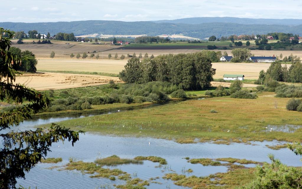 Bekjemp skadegjørerne Noen