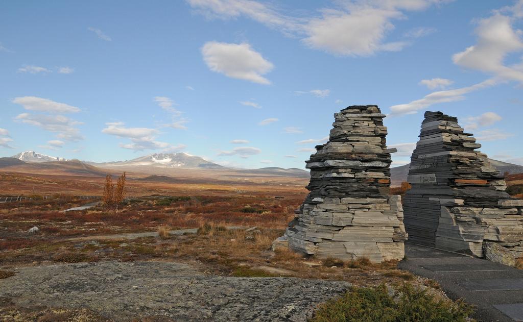 e) Fra Nydalen: Naturmangfoldloven ligger fast, men Naturmangfoldloven praktseringen gjennomgas.