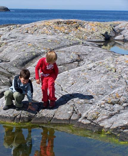 Økosystemtjenester er et samlebegrep for alle de grunnleggende goder som naturen forsyner oss med, og som vi ofte har en tendens