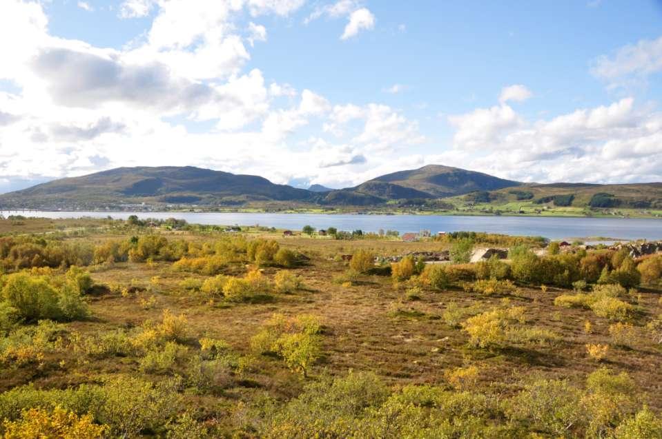 18 AE KS GTG-06 Strandflata med lavt infrastrukturpreg. 61 AE KS GTG-07 Strandflata m/ høy infrastruktur og jordbrukspreg. 45 AE KS GTG-08 Strandflata m/ myr, infrastruktur og jordbruk.