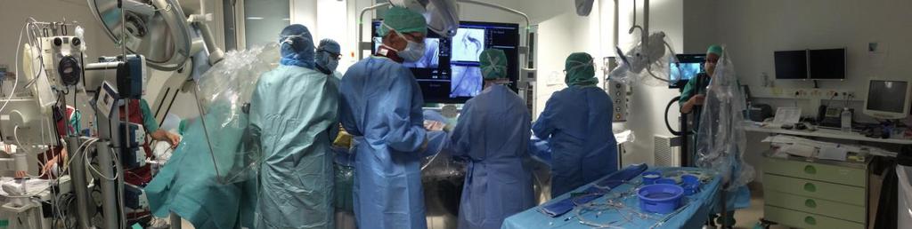 Operasjonsaktivitet AHL-1F Kirurgisk Klinikk 2016 TAVI 62 EVAR 94 Div.
