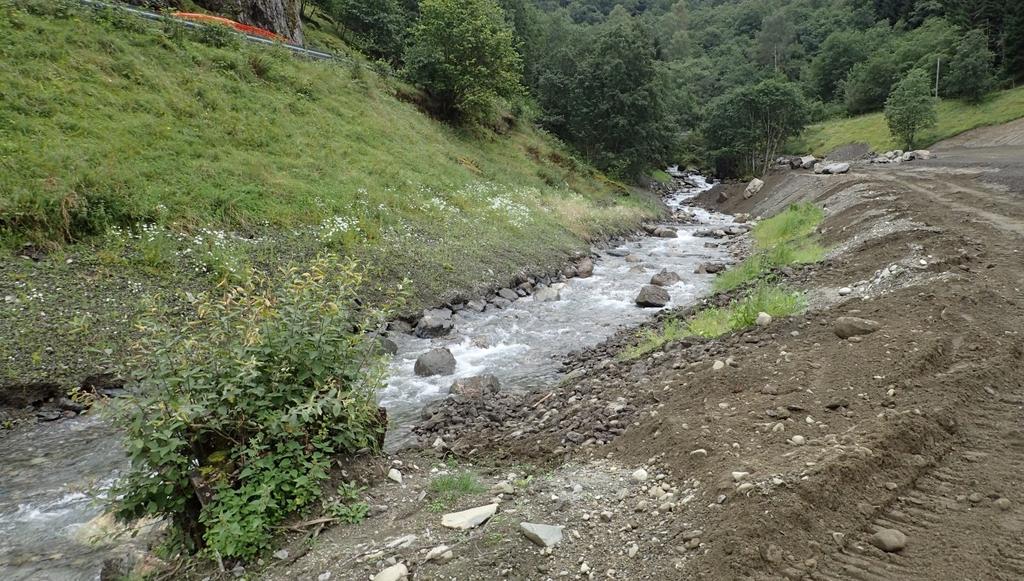 Tverrelvi i Flåm 2016, med NVE, fullplastret men