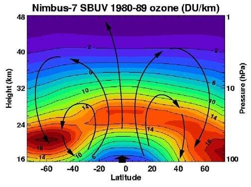 Ozonkonsentrasjon som funksjon av høyde og breddegrad (jfr. Fig 10.