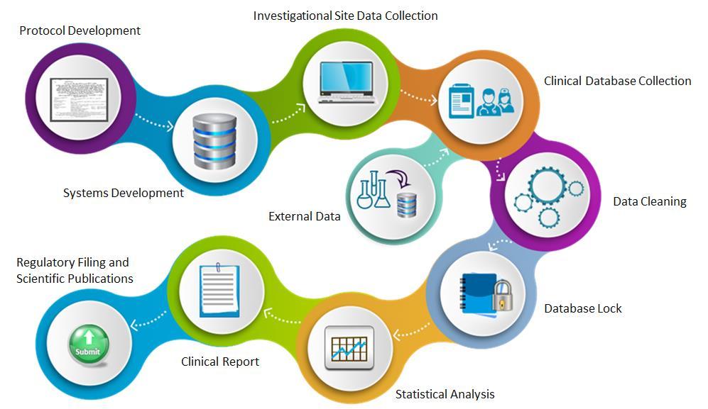 Clinical Data Lifecycle Gøril Knutsen.