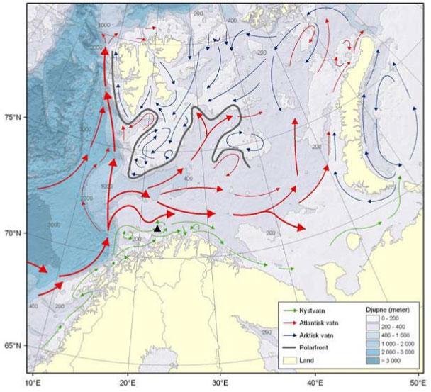 Figur 4. Havstrømmer i Barentshavet. Kilde: Havforskningsinstituttet.