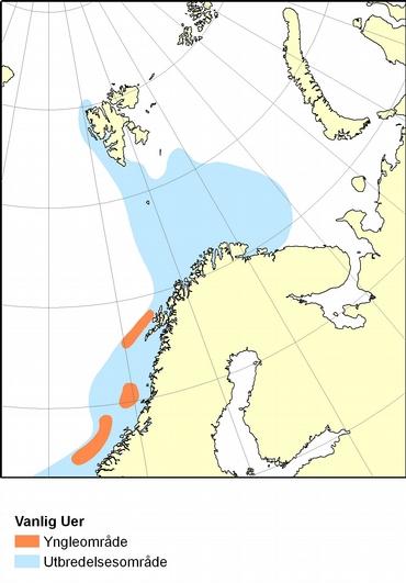 Uer Blåkveite Figur 6. Oversikt over gyte- og utbredelsesområde for relevante arter (Kilde: Havforskningsinstituttet). 2.3.4 Sjøpattedyr Sjøpattedyr er toppredatorer i Barentshavet.