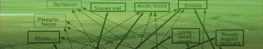 utilstrekkelig Behov for dramatisk bedret observasjonskapasitet Gyrfalcon Snowy owl Peregrin falcon Ermine Arctic foxes Predatorer Skuas Long tailed jaeger Wolf Raven and gulls