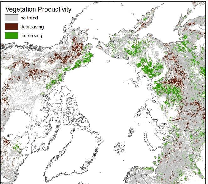 Vegetasjonsendringer i nordområdene: Samsvarer observasjoner med prediksjonene?