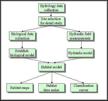 4 METODER 4.1 Habitatmodellering Kort fortalt går habitatmodellering ut på at en hydraulisk modell blir sammenlignet med stedlige preferanser.