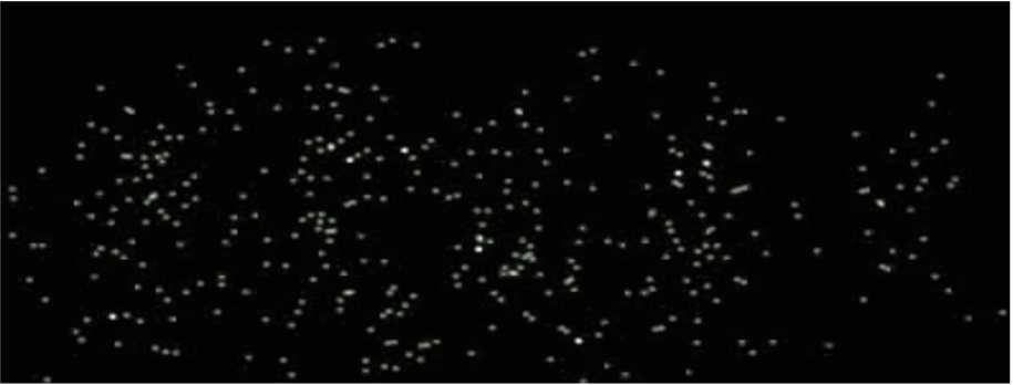 Elektronene aksellereres først gjennom et potensialfall på 600 V og spaltene er 62 nm brede og 272 nm fra hverandre. De er 4µm lange.