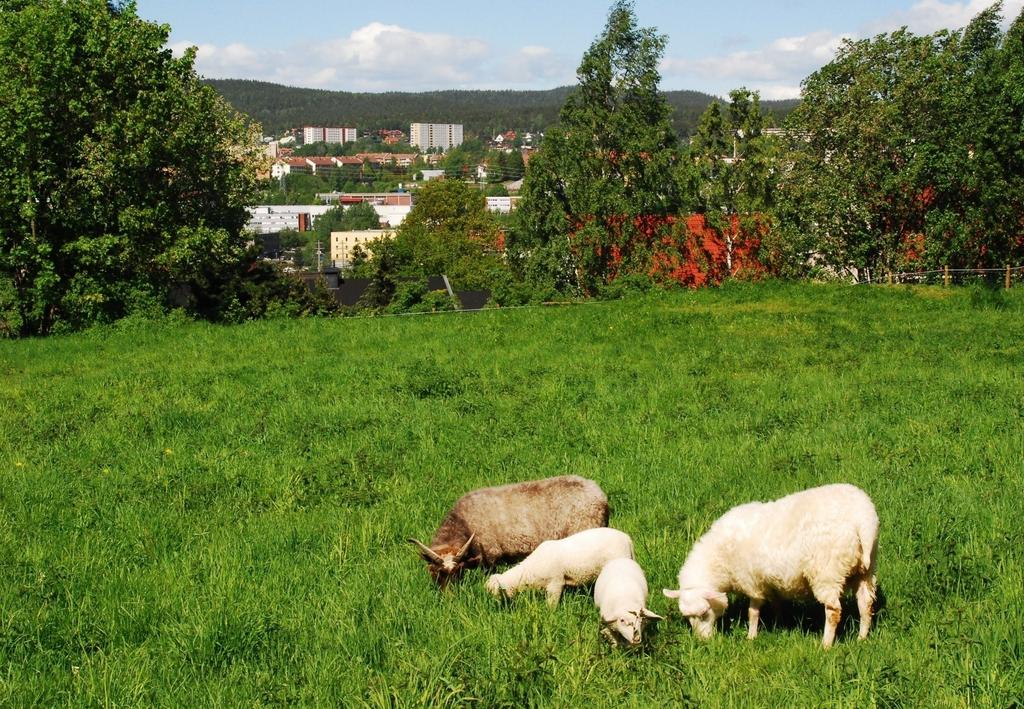 Omdisponering av landbruksarealer Landbruks- natur og