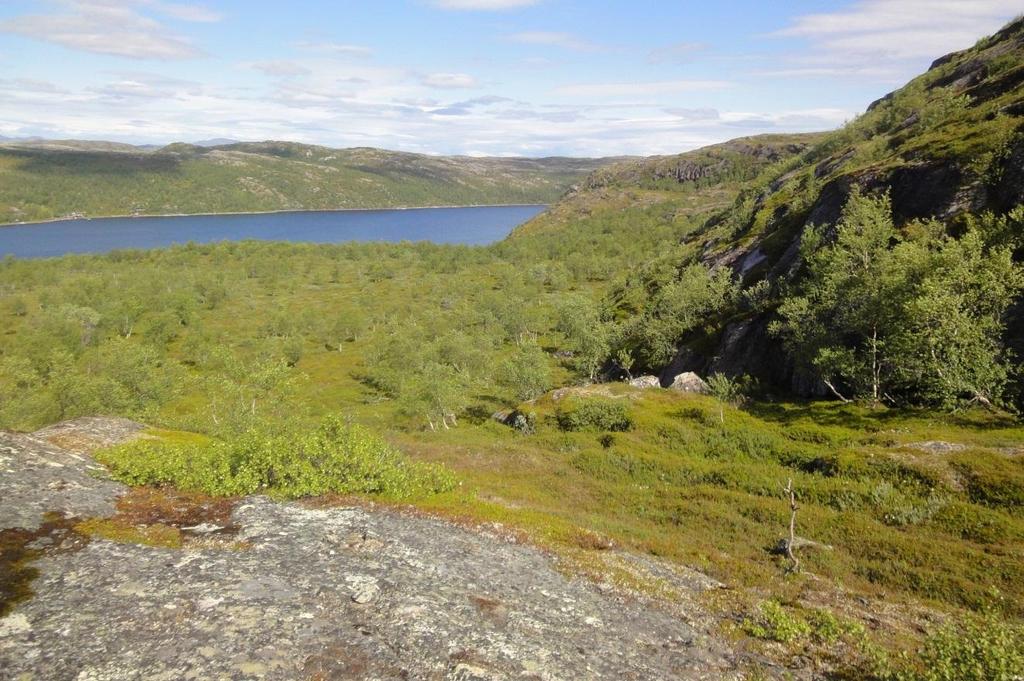 Nord i området stiger terrenget igjen, og en får tørre, stort sett treløse rabber preget av lyngarter, finnmarkspors, molte, sauesvingel, torvull, bjønnskjegg og fjellpryd.