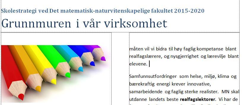 Skolelaboratoriene skal drive fagdidaktisk forskning og gi kunnskapsbaserte bidrag til utdanningen ved MN.