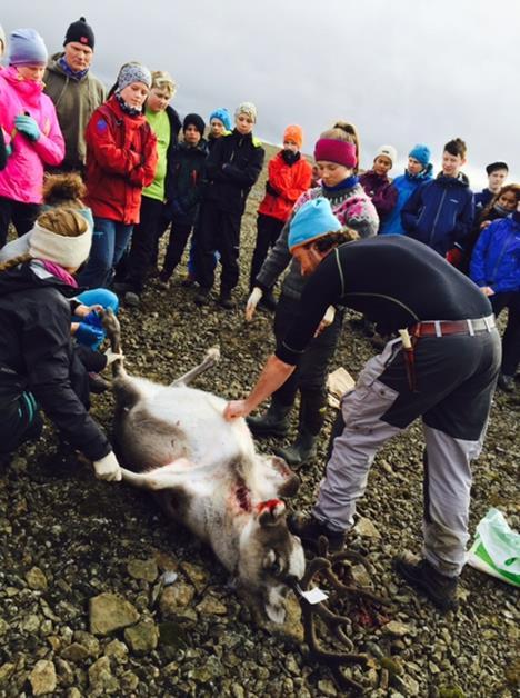 Skolen benytter 100 % lærerressurs til dette fordelt på to lærere. Longyearbyen skole har et arktisk særpreg hvor ulike sider av natur og lokalsamfunn er en del av elevens naturlige skolesekk.