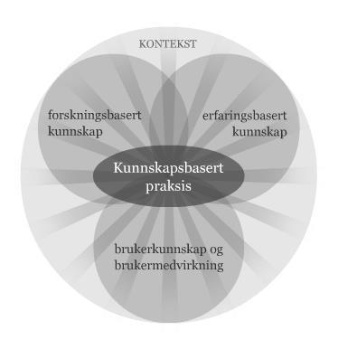 Programmets tre hovedmål: 1. Redusere pasientskader 2.