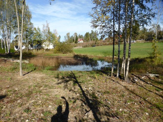 Figur 3. «Pæra» dammen i syd-vest sett Skoglundkollen. Foto: Kjell Sandaas 21.02.2015. Figur 4.
