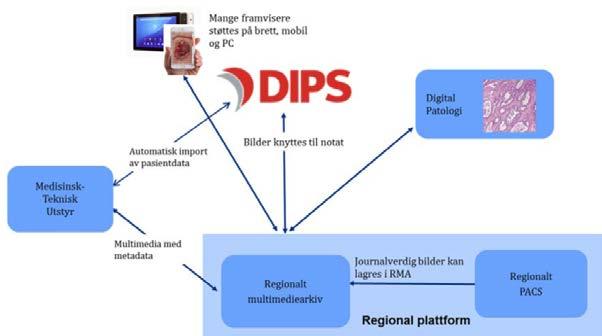 De overordnede kravene er: Det skal være enkelt å fange, lagre, vise og dele multimedia Det skal være enkelt å knytte informasjonen til riktig pasient i DIPS og andre relevante systemer Det skal være