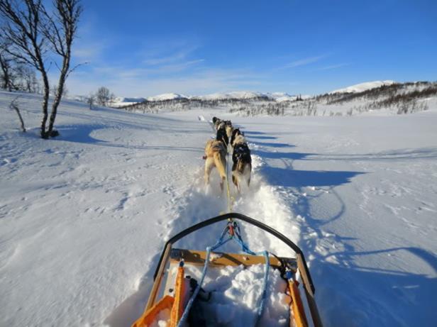 Transport Alle deltagerne fra Telemark skal kjøre i felles buss. Telemark Røde Kors bestiller buss som tar deltagerne med i forhold til hvor de bor. Transporten er gratis.