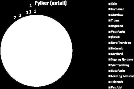 Bedrifter fordelt på