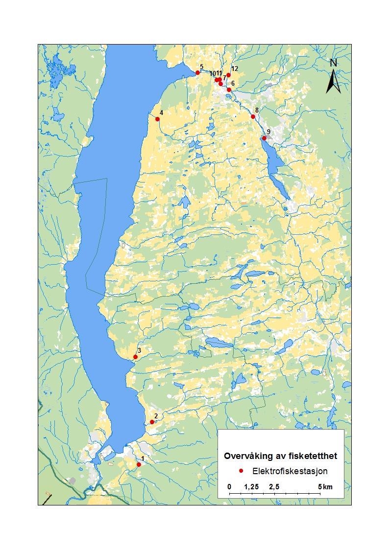 Figur 1. Oversiktskart over stasjonsnettverket i Hadelandsvassdragene.