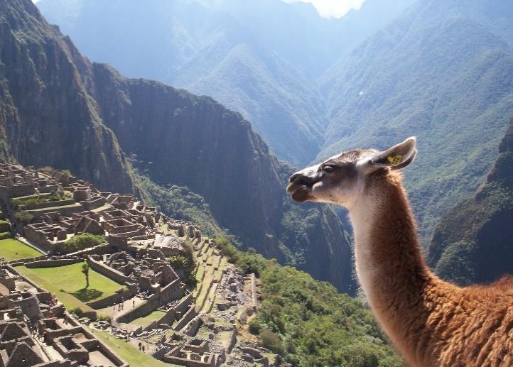 På denne turen vil vi oppleve noen av de største høydepunktene i de to landene Peru og Bolivia.