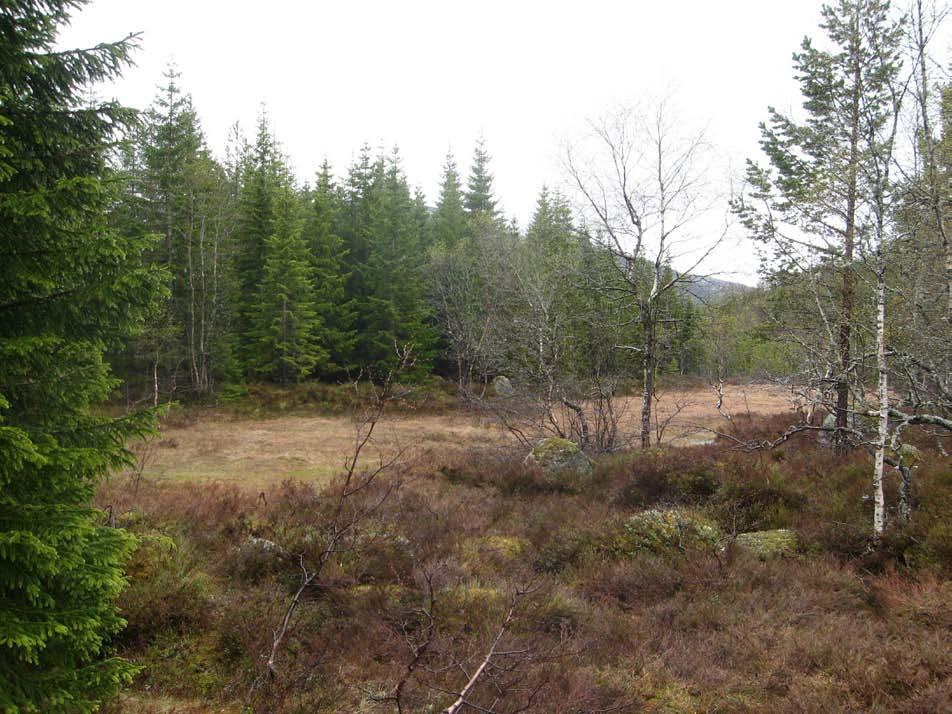 1 Prosjektbeskrivelse 1.1 Langemyrrinnen hyttefelt Langemyrrinnen ligger innerst i Josdalsdalen nordøst for Tonstad i Sirdal kommune. Hoveddelen av planområdet ligger i et høydeintervall på 530-570 m.