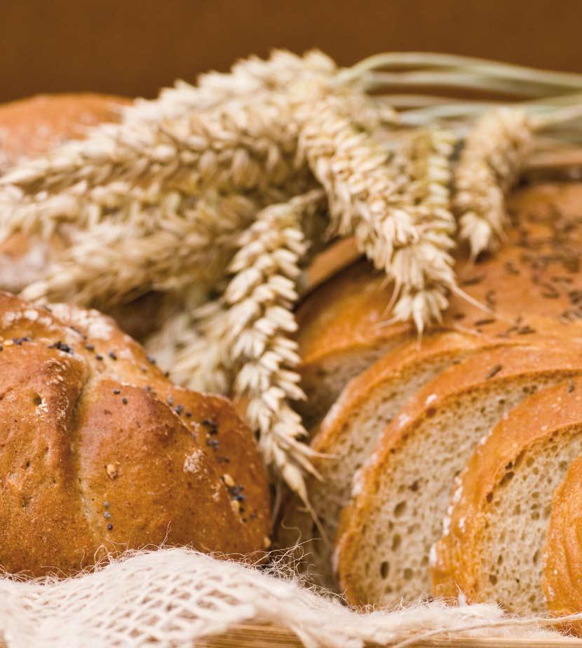 HOLD MELET I BAKERVARENE! Mel er en selvsagt og nødvendig del av en hver bakers omgivelser. Selv om det både ser uskyldig ut og er en viktig del av vårt matinntak, er melet ikke ufarlig.