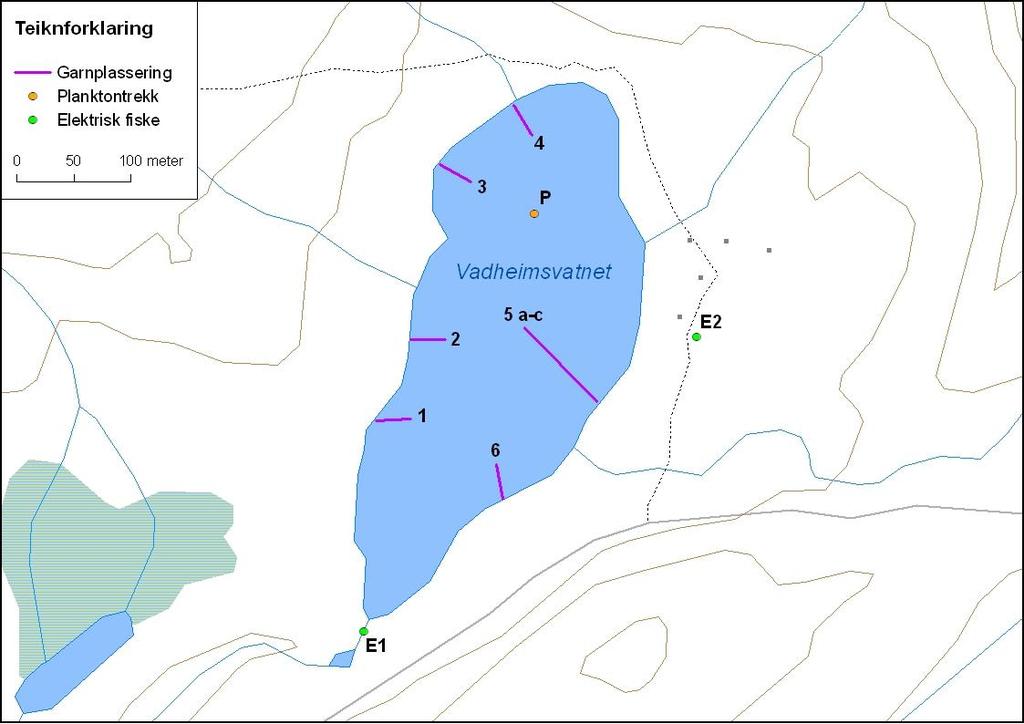 Figur 8. Vadheimsvatnet med garnplassering og stasjonar for elektrisk fiske og planktontrekk. 4.2.3.