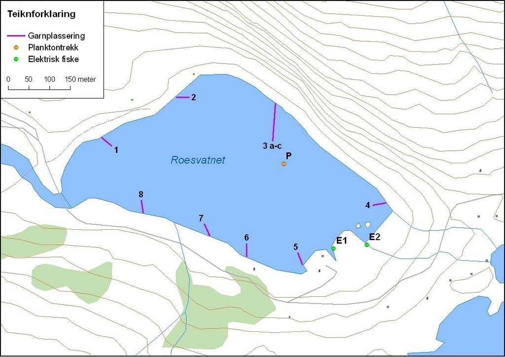 Figur 23. Roesvatnet med garnplassering og stasjonar for elektrisk fiske og planktontrekk. 4.2.8.