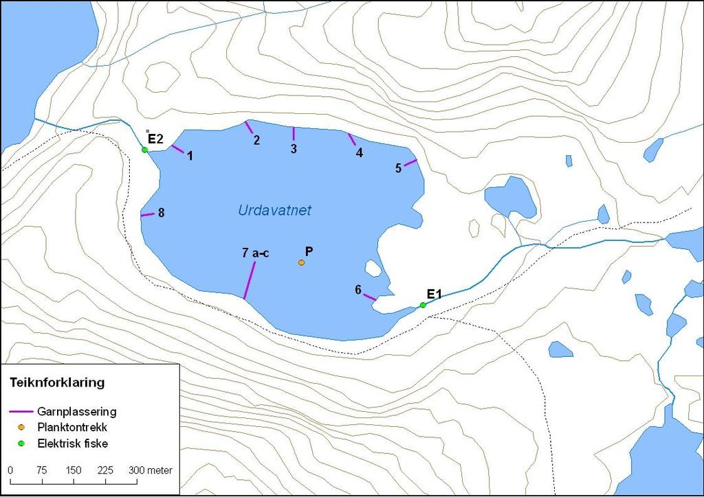 Urdavatnet (innsjønummer 2999) ligg i Eriksdalsvassdraget i Høyanger kommune (figur 1). Vatnet er,25 km 2, og ligg 887 moh.