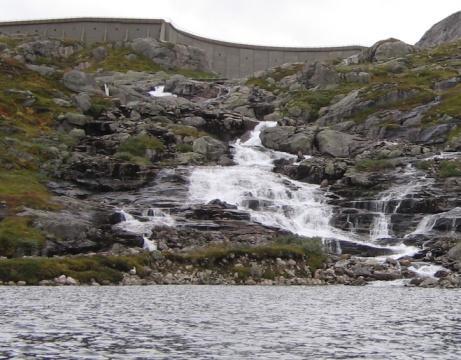 Det er satt ut 2 7 fisk i Urdavatnet mellom 1989 og 21 av Høyanger Jakt og Fiskelag, Hydro Energi og Statkraft, og truleg er fleste av dei fiskane som er eldre enn 7 år fisk som er satt ut.