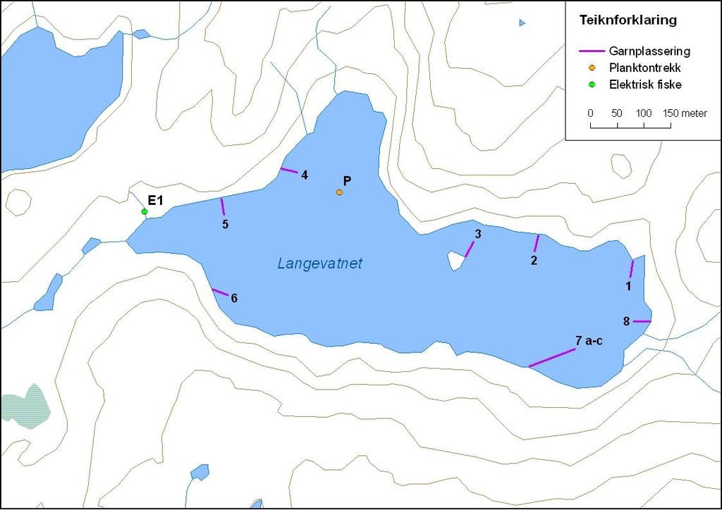 Figur 36. Langevatnet med garnplassering og stasjon for planktontrekk. 4.2.12.1 Fisk Langevatnet var prøvefiska med 1 botngarn og 3 av garna vart sett saman i ei lenkje (figur 36).