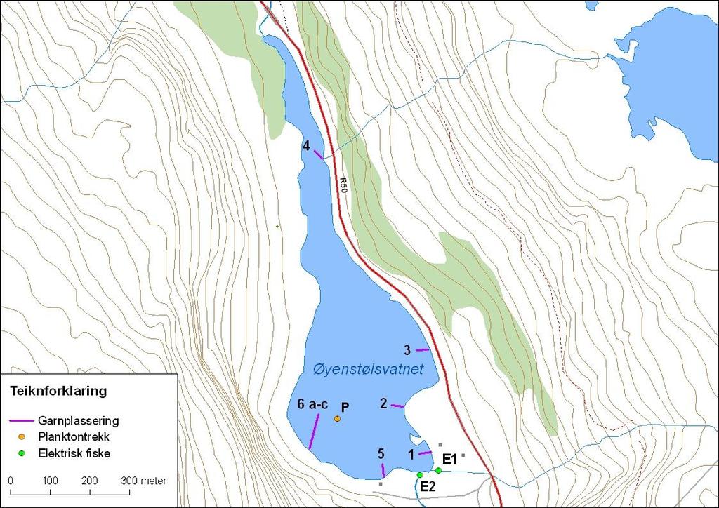 Figur 43. Øyestølsvatnet med garnplassering og stasjonar for elektrisk fiske og planktontrekk. 4.3.2.