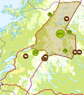 Oversikt sau og lam dokumentert drept av bjørn.