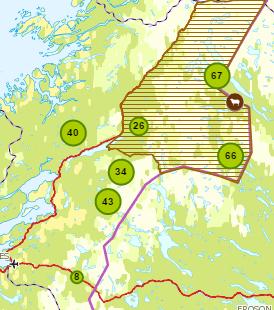 År 2000 288 sau/lam drept eller antatt drept av bjørn 160 innenfor prioritert